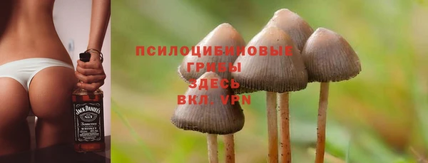 наркотики Алексин